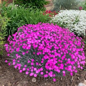 Meet your Posher, Kay